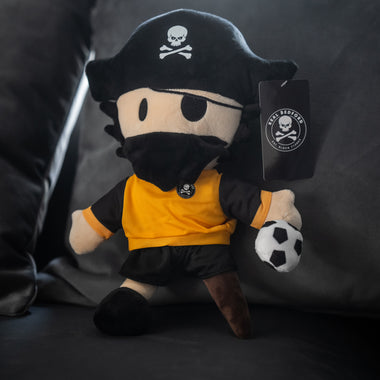 Pirate Teddy